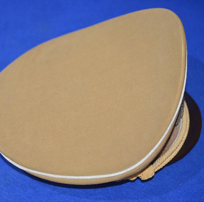 POLITICAL LEADERS KREISLEITERS PEAK CAP.